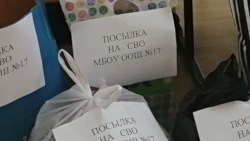 Сбор гуманитарной помощи солдатам СВО